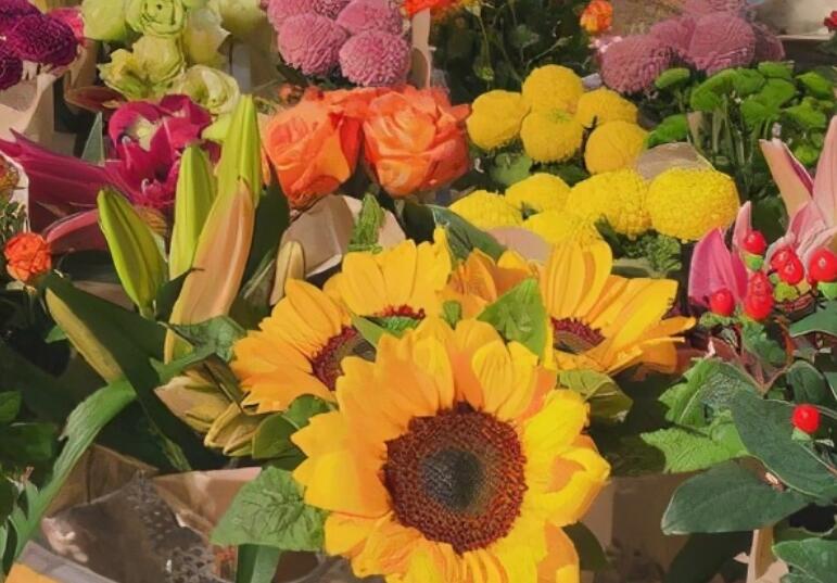 形容六月份的句子文案