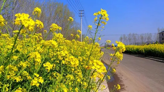 二年级课外阅读好词好句文案摘抄