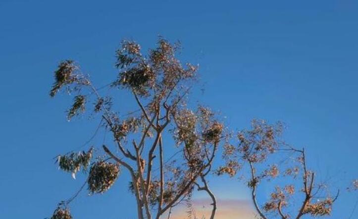 心里充满阳光唯美句子文案