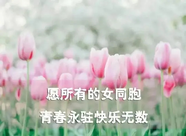 愿天下女人的句子文案