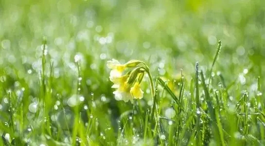 女人心态阳光的句子文案简短