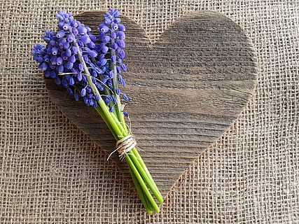 一生最爱的是你说说句子文案