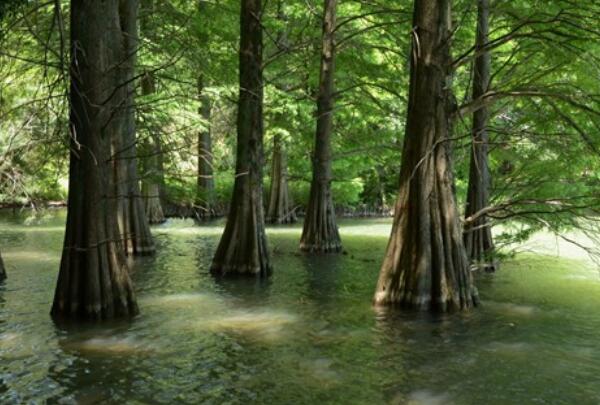 心存感恩贵人的短句