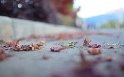 适合一个人的文案短句