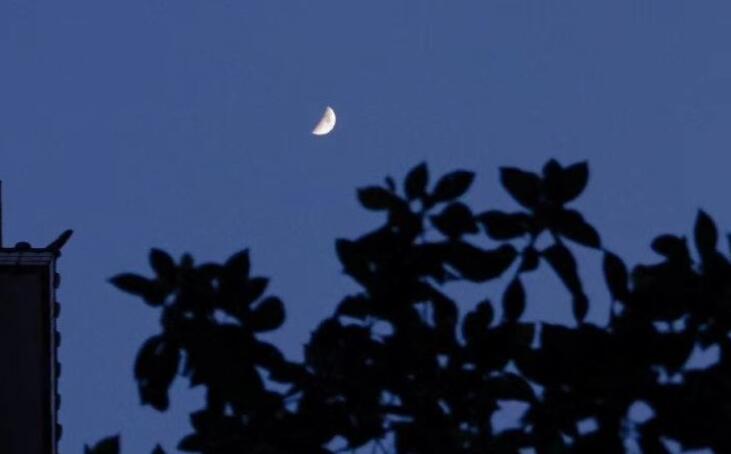 温柔浪漫的短文案