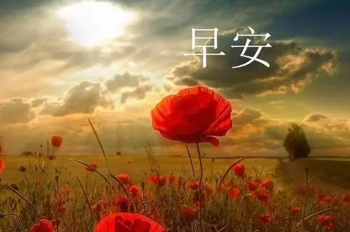 赞美清晨的句子文案唯美