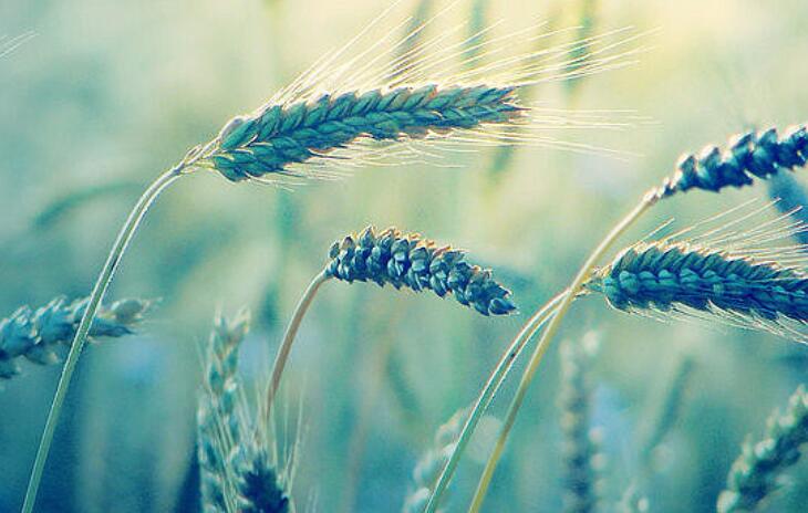 表白儿子的暖心句子文案