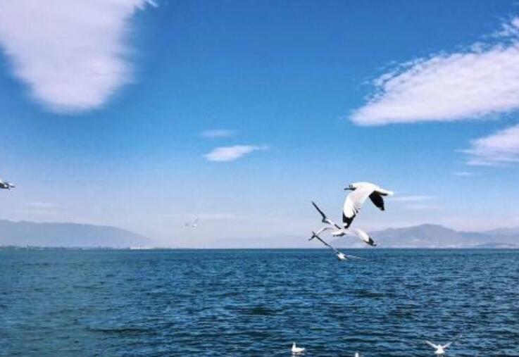 为了生活离开家和孩子的句子文案