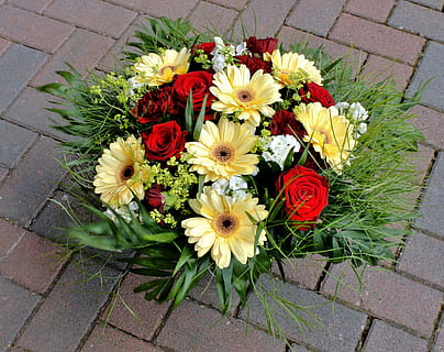 朋友官宣怎么评论祝福