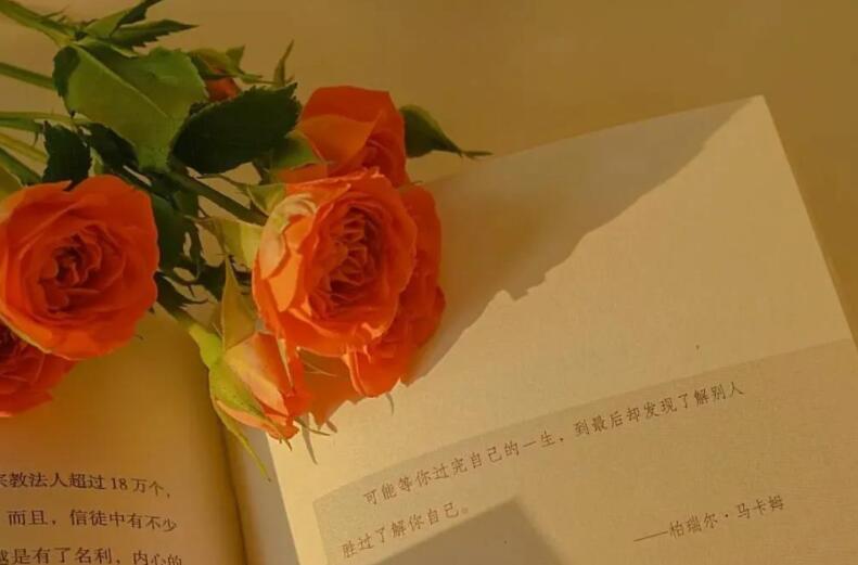 简单优雅的句子文案