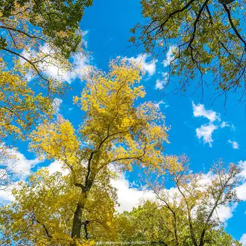 天气好心情好八字短句