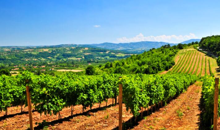 夏天生动优美的短句子文案