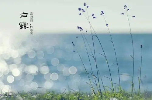 白露诗词句子文案