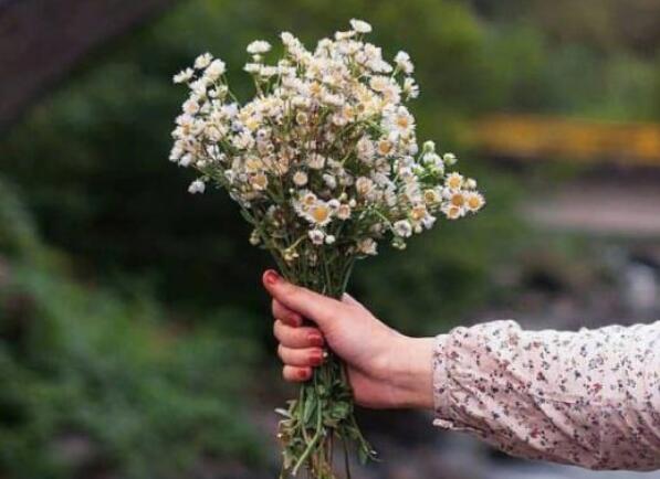 伤心的说说句子文案伤感