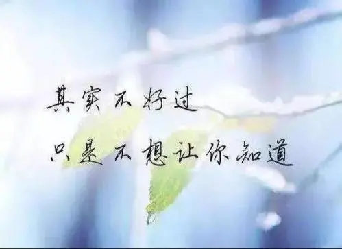 在乎太多会很累句子文案