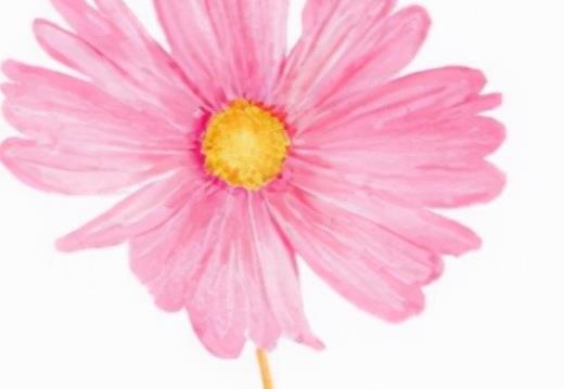 安慰人的暖心话简短