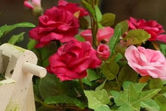 形容女人不易的唯美说说文案