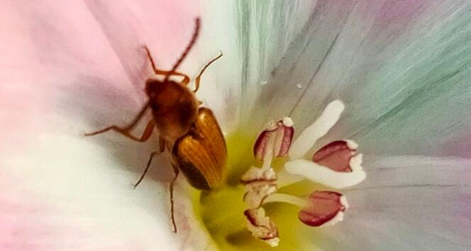 50字读后感及好词好句文案