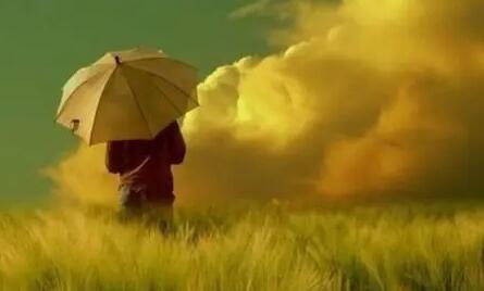 亲情的期待的句子文案唯美