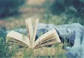 作家的经典语句文案