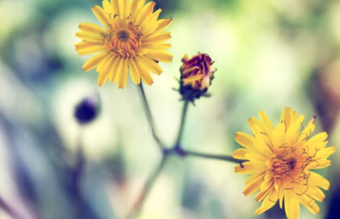 这几天有点累的说说文案