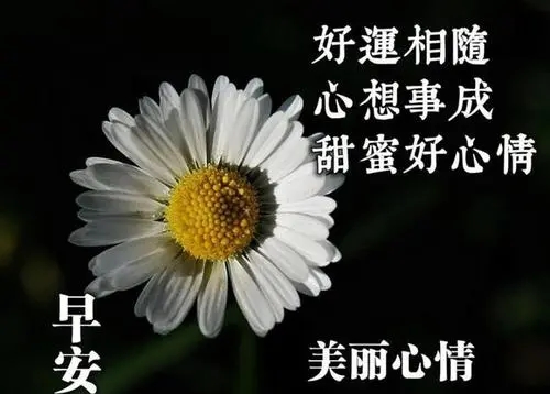 每天早晨一句简单问候语