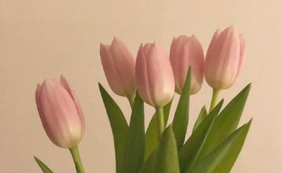 早安说说文案朋友圈简短