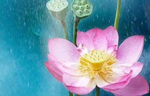 100字人生感悟好句文案