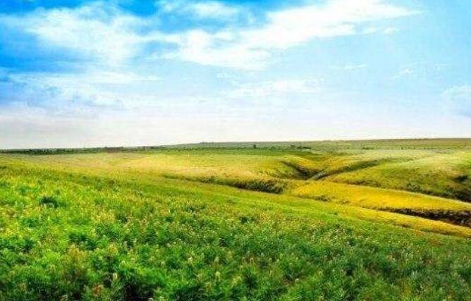 形容在背后诋毁别人的句子文案