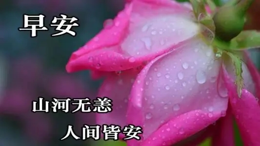 美好春天早安问候语