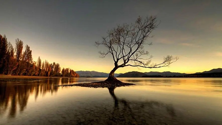 一分钟朗读精美短文