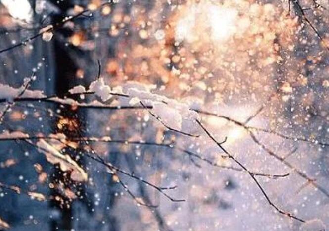 四年级好句子文案摘抄大全