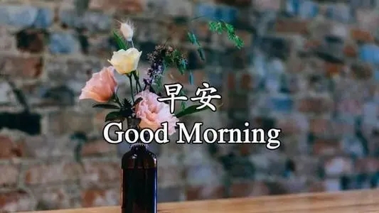 表达心情不好早安的一句话