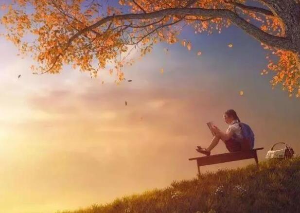 摘抄优美句子文案