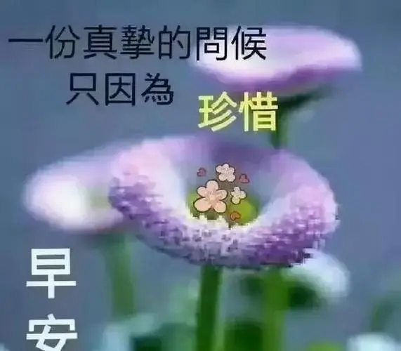 清晨问候语简短