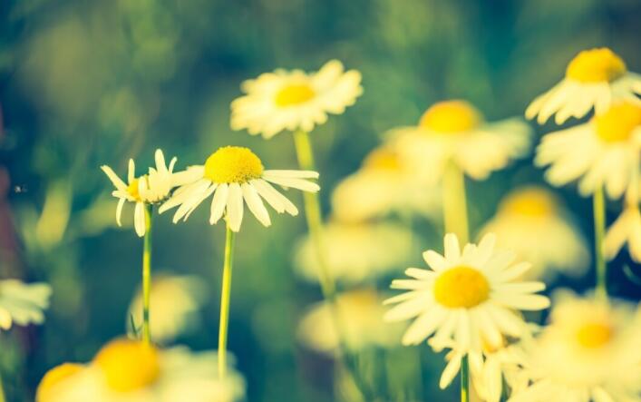 凌晨唯美句子文案简短的