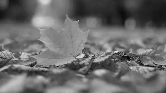 经典伤感名人名言