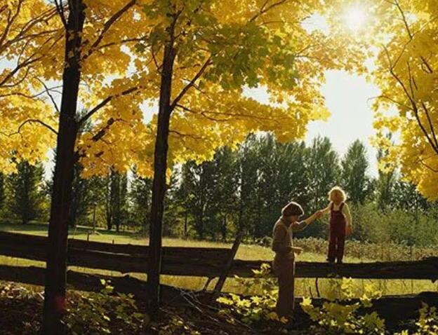 安慰病人的简短的话