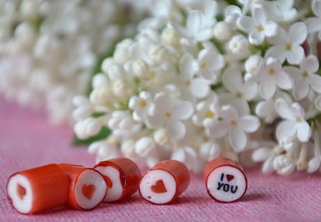 代表感情结束的句子文案