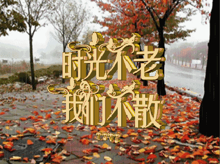 感谢朋友陪伴的话简短