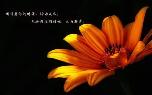 失望看透人心的句子文案