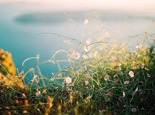 想念一个人的早安说说文案