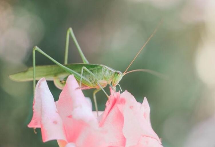 很现实的人生感悟说说文案致自己