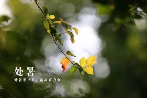 处暑的古诗有哪些