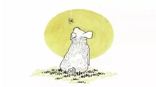 夏洛的网好词好句文案