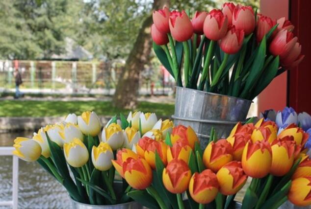 女人该有的生活态度句子文案