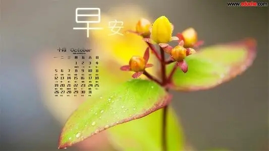 简短微信群早安问候语