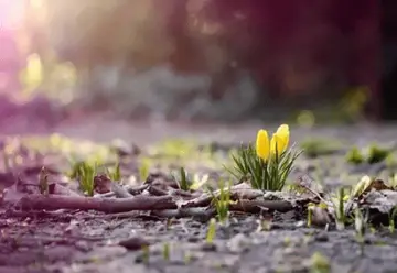 每天给自己加油的励志句子文案