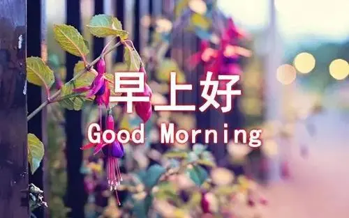 对爱的人早晨的问候