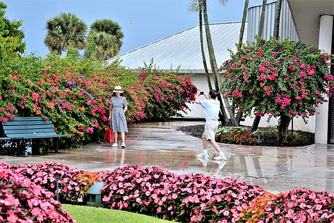 古风委婉拒绝表白的话